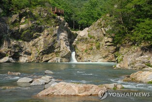'단풍 따라 떠나자' 양구군, 가을철 시티투어 버스 운영