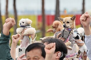 반려동물과 즐기는 경남의 가을…10∼11월 4개 시군서 축제