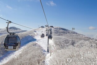 "이제는 스키장 갈 차례"…강원랜드, 11월 말 개장 준비 박차