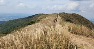 자연의 선물…보령서 알록달록 가을축제 풍성