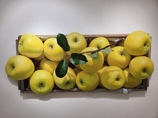 맛도 있고 눈도 즐거운…'행복한 사과' 그리는 윤병락 개인전