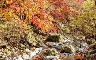가을 정취 가득한 정선 항골 숨바우길서 18일 트레킹 대회