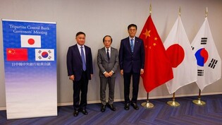 Tripartite central bank governors' meeting