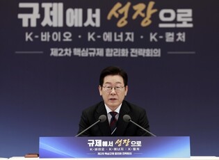 Lee vows to ease unnecessary regulations
