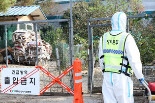 Avian flu outbreak in southwestern city