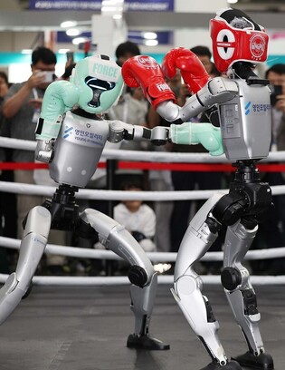 Humanoid robots fight in kickboxing competition