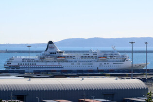 Cruise ship accommodating businesspeople for APEC summit