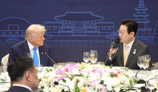 Lee attends APEC dinner