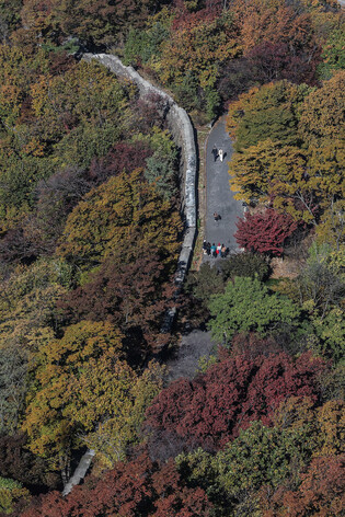 Autumn leaves in Seoul