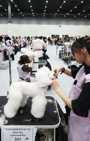 Dog cosmetician contest in S. Korea
