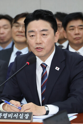 Presidential chief of staff at parliamentary audit