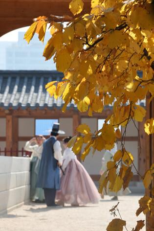 Autumn leaves in Seoul