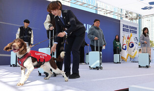 Sniffing skill competition