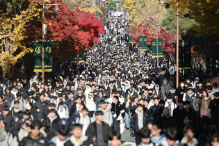 Essay exam for college entrance