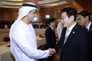 S. Korea-UAE business roundtable