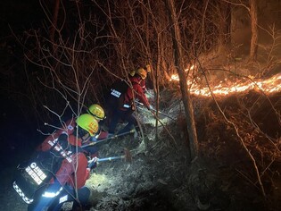Wildfire in northeast S. Korea