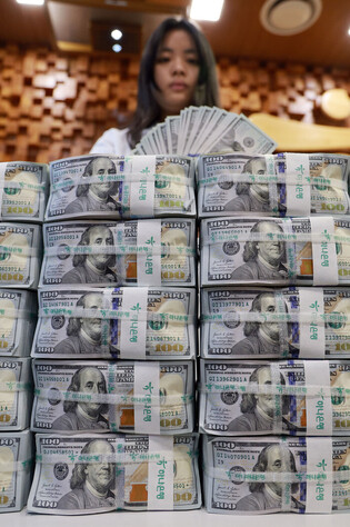 S. Korea's foreign reserves rise in Nov.
