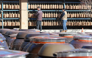 Drying bean paste to make soy sauce