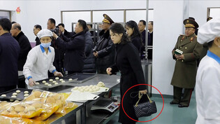 NK leader's wife carrying what looks like Gucci shoulder bag