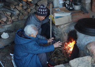 Wood-burning stove in traditional heating system