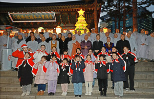 Christmas tree lit at Buddhist temple