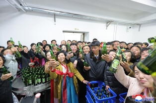 N. Korea's Kim attends opening for regional factories