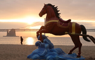 Preparations for 2026 Year of Horse