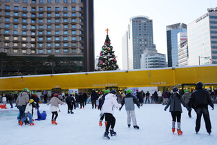 Celebrating Christmas on ice