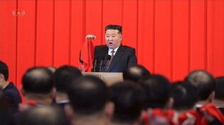 N. Korea's Kim makes oath on Constitution Day