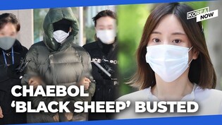 Scion of Korean chaebol family formally arrested over drug abuse