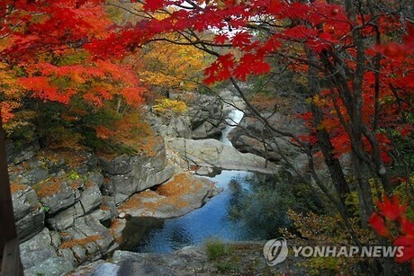 Jirisan's Baemsagol valley expected to reach peak autumn colors next week