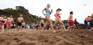 Penguin swimming festival