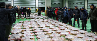 1st bidding at fish market in 2026