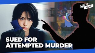 Nana speaks up after being countersued by home intruder for attempted murder