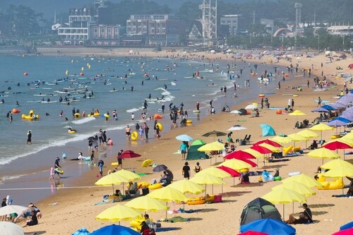 Taean draws record 18 mln visitors last year, aims for 20 mln in 2026