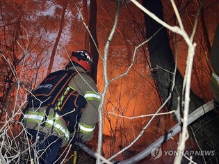(LEAD) Main blaze in Uiseong wildfire contained