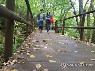 작년 속리산 탐방객 122만3천명…10명 중 7명 법주사 경유