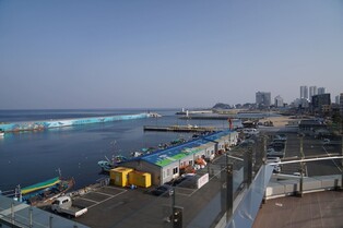 [속초소식] 해양수산사업 지원자 모집…3개 분야·20개 사업