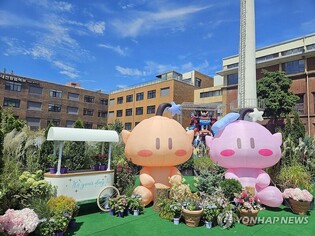 대전시, 0시축제 등 지역 대표 축제 9개 선정