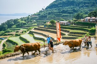 "사라져가는 전통 잇는다"…남해군, 무형유산 체계적 영상 기록
