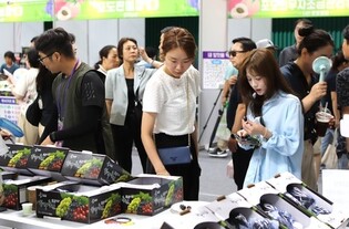 옥천군 "올해 포도·복숭아 축제 7월 31일 개막"