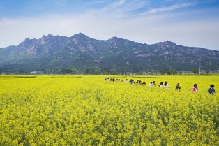 전남도, 국내외 단체관광객 유치 협력여행사 모집