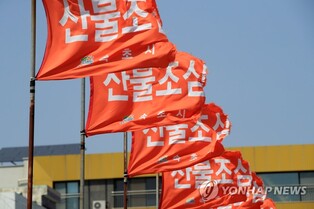 [속초소식] 대형 산불 막자…숲 가꾸기 사업 대상지 신청 접수