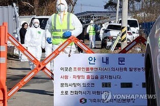 Seoul reports new bird flu case at poultry farm, total now 37