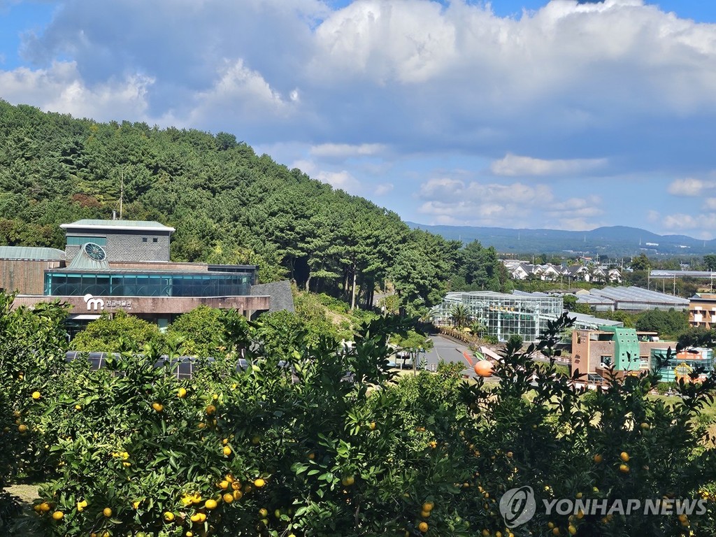 서귀포시 감귤박물관 [연합뉴스 자료사진]