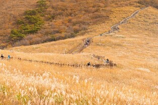 "영남알프스 사계절에 세계문화유산까지…마치 직접 본 것처럼"