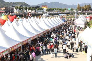 보은대추축제 궂은 날씨에도 '대박'…농산물 판매 51억2천만원