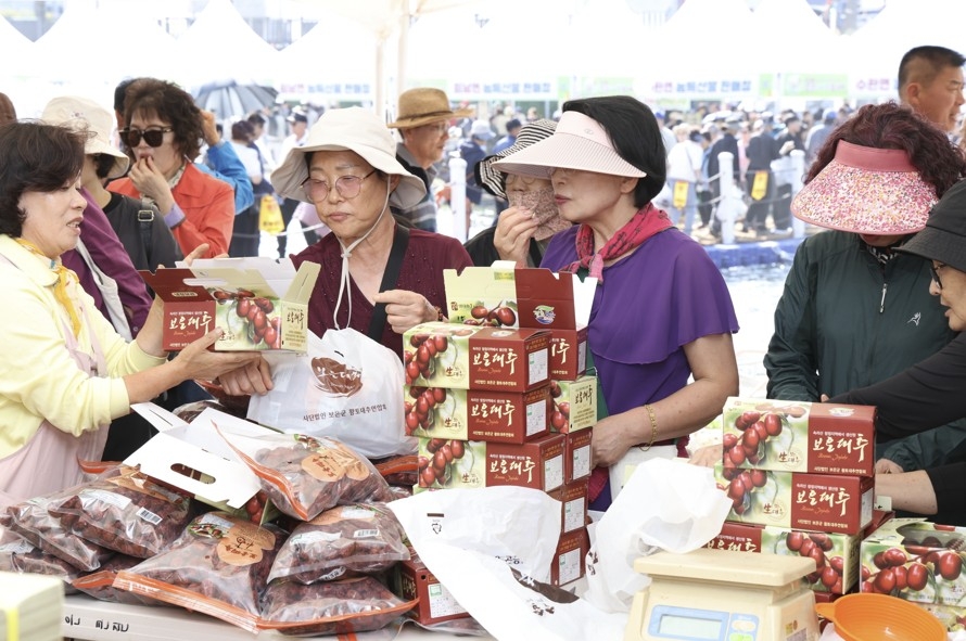 대추 판매장 [보은군 제공. 재판매 및 DB금지]