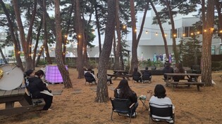 강릉 초당순두부길서 '2026 초당 K-푸드 로드' 운영