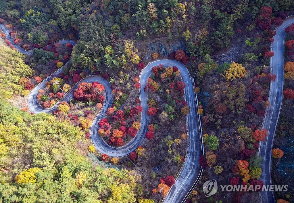 만산홍엽 단양 보발재 (단양=연합뉴스) 천경환 기자 = 완연한 가을 날씨를 보인 27일 충북 단양군 가곡면 보발재 주변이 단풍으로 물들어 있다. 2026.10.27 kw@yna.co.kr